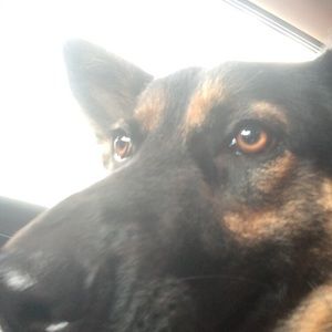 Meet your Posher, Jimmy